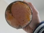 Filetti DI TONNO ROSSO in olio Extravergine di Oliva Biologico